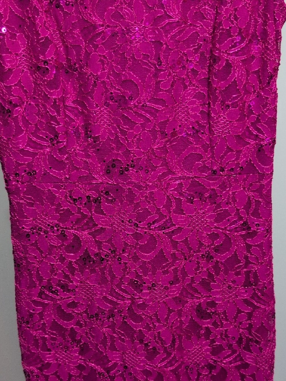 Alex Evenings Fuchsia Lace Sleeveless Maxi Dress - Picture 3 of 11